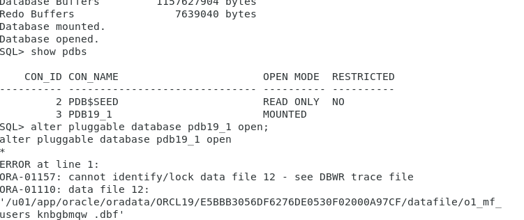 ORA-01157 ORA-01110 Datendatei wird nicht gefunden