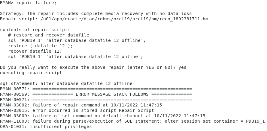 repair failure führt zu ORA-01031: insufficient privileges