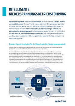 Niederspannungsbetriebsführung